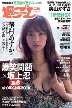 八零之美人如蜜格格党